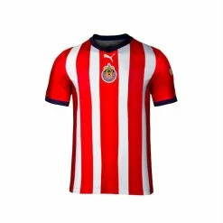 Puma Chivas '22/'23 Replica Jersey Big Kids -Shoes Sales Store 23 Replica Jersey Big Kids 2