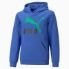 Puma Classics Big Kids' Logo Hoodie